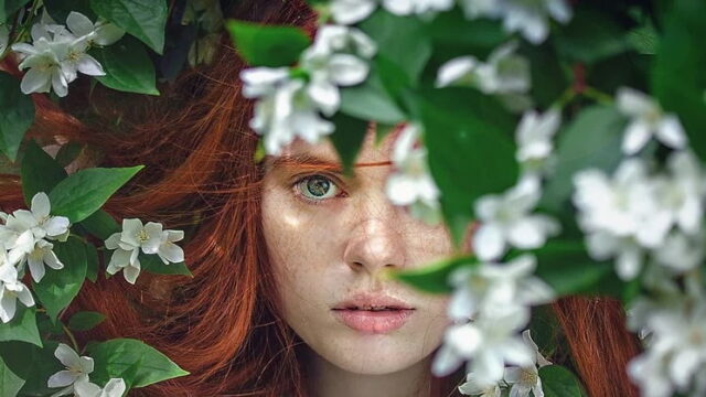 花の垣根からこちらを見る女性の顔