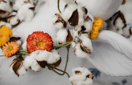 白いテーブルに置かれた綿花と花のある風景